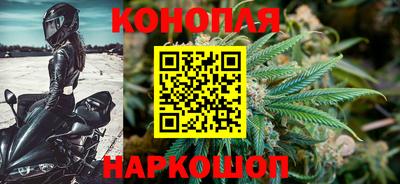 ешки Новодвинск